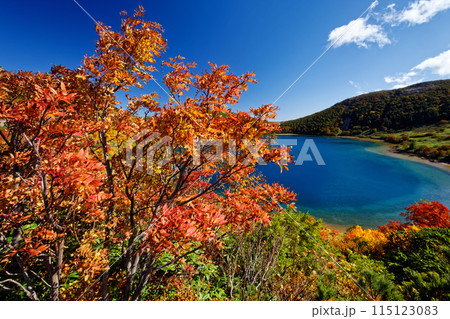 紅葉の吾妻連峰・五色沼の風景 115123083
