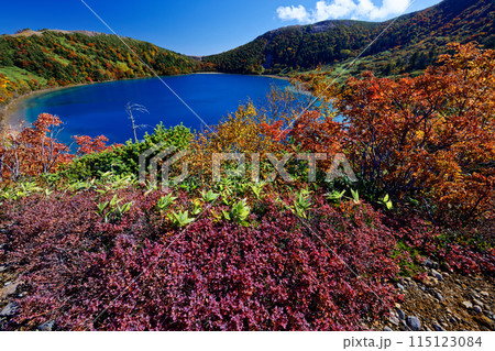 紅葉の吾妻連峰・五色沼の風景 紅葉の吾妻連峰・五色沼の風景 115123084