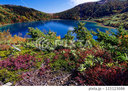 紅葉の吾妻連峰・五色沼の風景 115123086