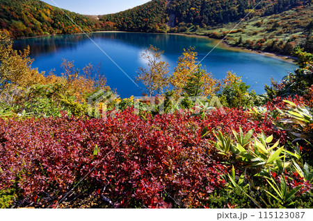 紅葉の吾妻連峰・五色沼の風景 紅葉の吾妻連峰・五色沼の風景 115123087