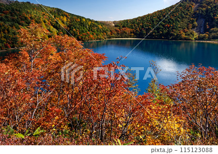 紅葉の吾妻連峰・五色沼の風景 115123088