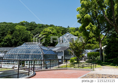 国指定重要文化財名古屋市東山植物園温室前館 115123115