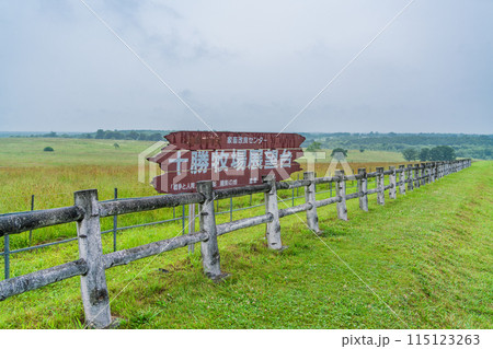 (北海道)十勝牧場展望台 霧雨 (北海道)十勝牧場展望台 霧雨 115123263