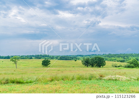 （北海道）十勝牧場展望台　霧雨 115123266