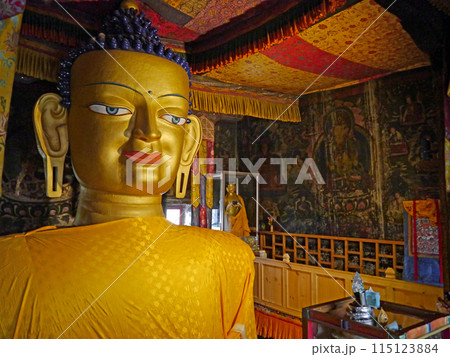 インド北部の小チベット・ラダックにあるシェイ王宮の大仏 115123884
