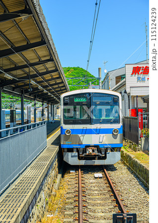 伊豆箱根鉄道 伊豆箱根鉄道 115124239