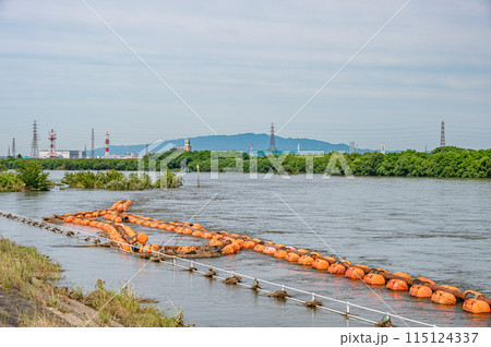 大雨で増水し濁流と化した淀川　大阪府枚方市 115124337