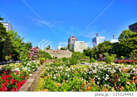 札幌市資料館とサンクガーデン 115124443