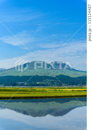 うららかな春日和に映える田植え前の阿蘇山(阿蘇五岳)リフレクション風景(阿蘇市内牧) うららかな春日和に映える田植え前の阿蘇山(阿蘇五岳)リフレクション風景(阿蘇市内牧) 115124487