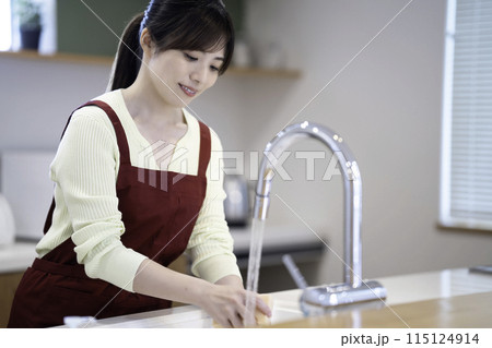 洗い物をするエプロンをした主婦 115124914