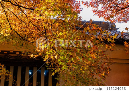 香嵐渓の紅葉 香嵐渓の紅葉 115124938