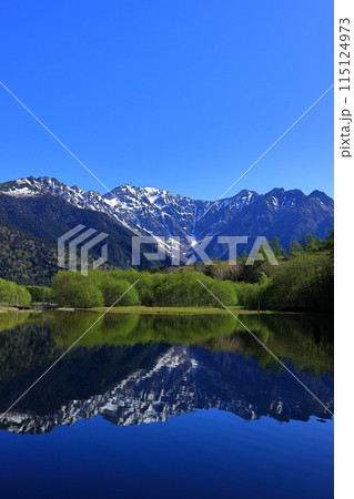 新緑の上高地 穂高連峰と朝の大正池 新緑の上高地 穂高連峰と朝の大正池 115124973