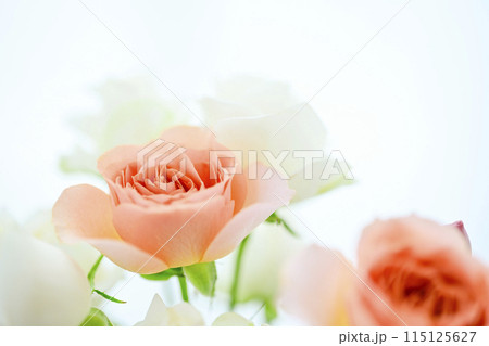 明るいオレンジのバラの花々 115125627