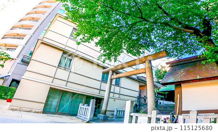 高層ビルに囲まれた都会の神社 六本木 龍土神明宮 高層ビルに囲まれた都会の神社 六本木 龍土神明宮 115125680