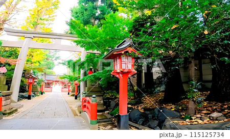杉並区阿佐谷南 馬橋稲荷神社の参道 杉並区阿佐谷南 馬橋稲荷神社の参道 115125734