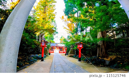 杉並区阿佐谷南 馬橋稲荷神社の参道 杉並区阿佐谷南 馬橋稲荷神社の参道 115125746