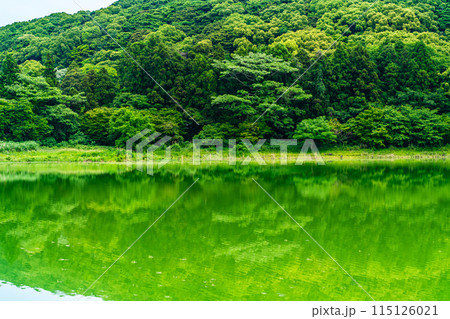 新緑の諏訪の池 【長崎県雲仙市】 新緑の諏訪の池 【長崎県雲仙市】 115126021