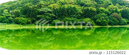 新緑の諏訪の池　パノラマ　【長崎県雲仙市】 115126022