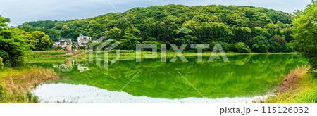 新緑の諏訪の池　パノラマ　【長崎県雲仙市】 115126032