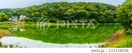 新緑の諏訪の池 パノラマ 【長崎県雲仙市】 新緑の諏訪の池 パノラマ 【長崎県雲仙市】 115126036