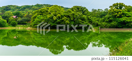 新緑の諏訪の池　パノラマ　【長崎県雲仙市】 115126041