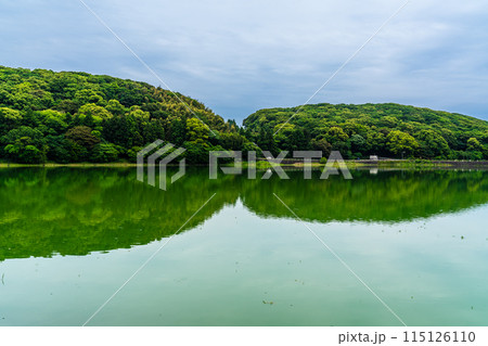 新緑の諏訪の池　【長崎県雲仙市】 115126110