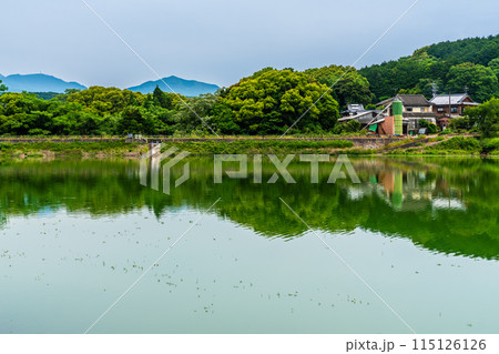 新緑の諏訪の池　【長崎県雲仙市】 115126126