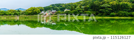 新緑の諏訪の池　パノラマ　【長崎県雲仙市】 115126127