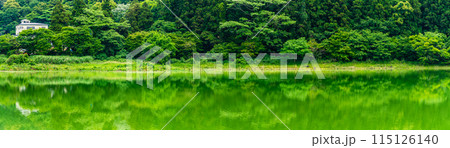 新緑の諏訪の池 パノラマ 【長崎県雲仙市】 新緑の諏訪の池 パノラマ 【長崎県雲仙市】 115126140