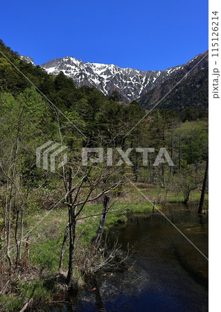 新緑の上高地　穂高連峰と岳沢湿原 115126214