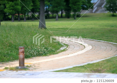 辰巳の森海浜公園の風景(東京都江東区) 辰巳の森海浜公園の風景(東京都江東区) 115126609