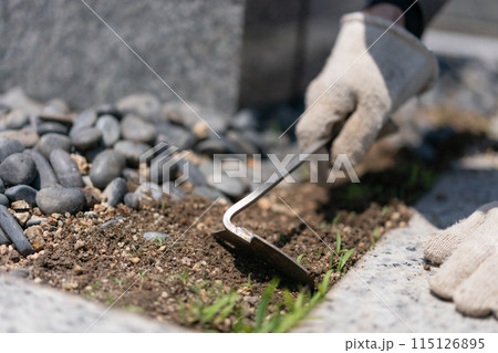 お墓の草取り作業  墓掃除 お墓の草取り作業  墓掃除 115126895