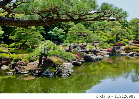 梅雨前の日本庭園 梅雨前の日本庭園 115126985