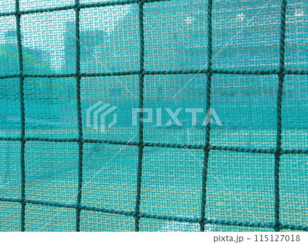 ブルー ネット ブルー ネット 115127018