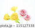 明るいカラフルなばらの花々 115127338