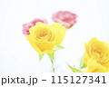 明るいカラフルなばらの花々 115127341