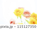 明るいカラフルなばらの花々 115127350