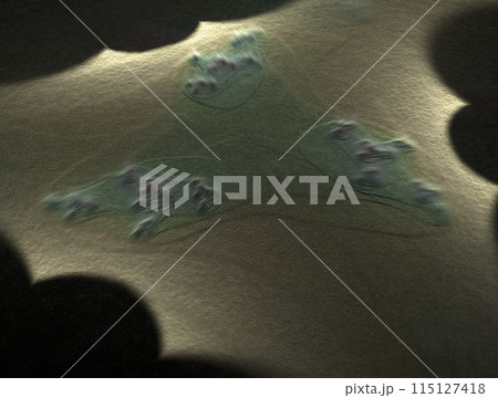 Imaginatory fractal abstract background Image Imaginatory fractal abstract background Image 115127418