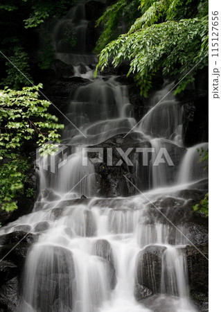 愛媛県東温市井内の御来光の滝 愛媛県東温市井内の御来光の滝 115127656