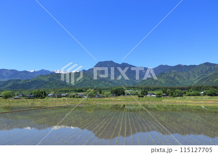 安曇野の5月　田園と北アルプス 115127705