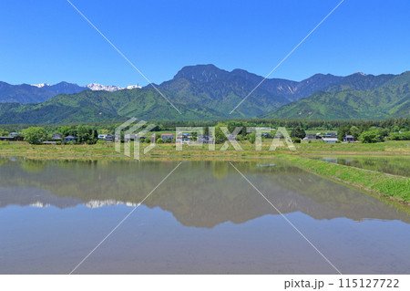 安曇野の5月　田園と北アルプス 115127722