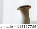 逆光に照らされるエリンギ 115127786