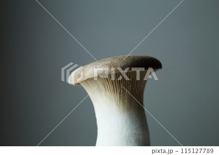 一つのエリンギ 115127789