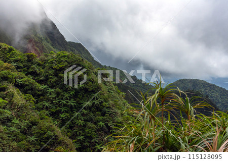 a lot of clouds over the mountain and jungle a lot of clouds over the mountain and jungle 115128095