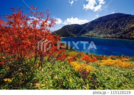 紅葉の五色沼と吾妻連峰・一切経山 115128129