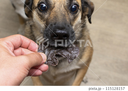 the dog receives a dehydrated dog treat as a treat 115128157