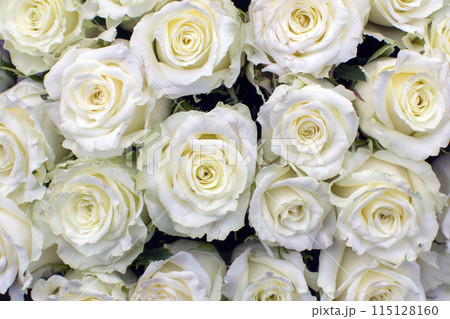 many white roses in a bouquet top view many white roses in a bouquet top view 115128160