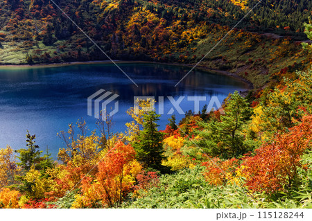 紅葉の吾妻連峰・五色沼の風景 紅葉の吾妻連峰・五色沼の風景 115128244