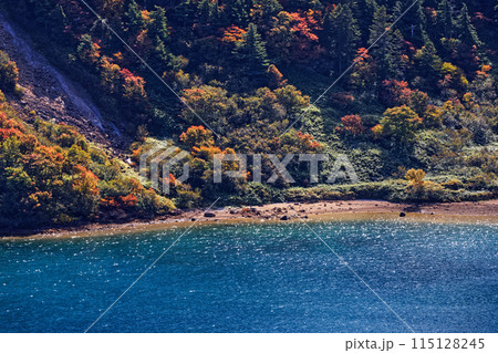 紅葉の吾妻連峰・五色沼の風景 115128245