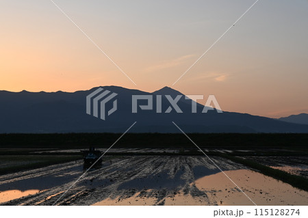 夕日に染まる田んぼ 115128274